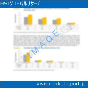 市場と産業調査レポートのイメージ